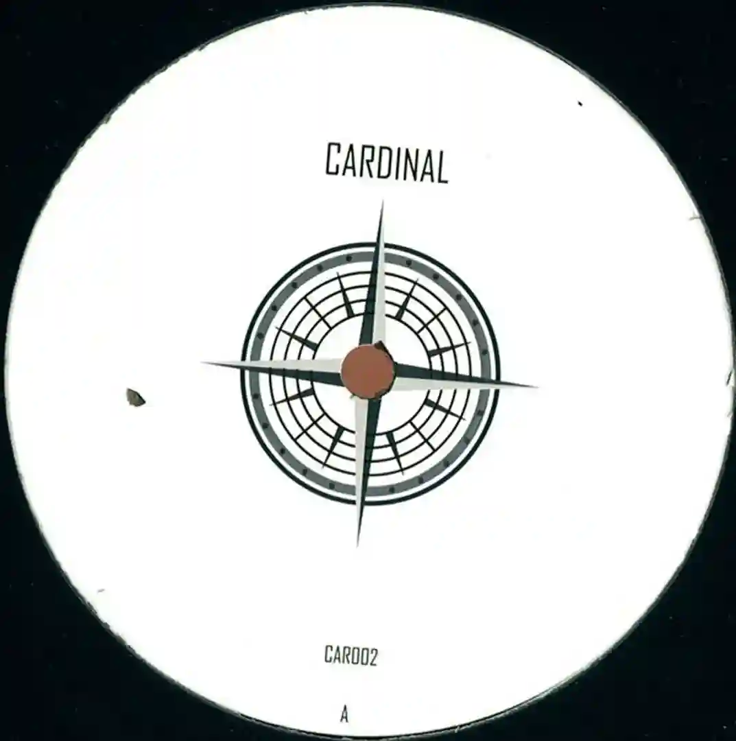 Theta Rhythm cover