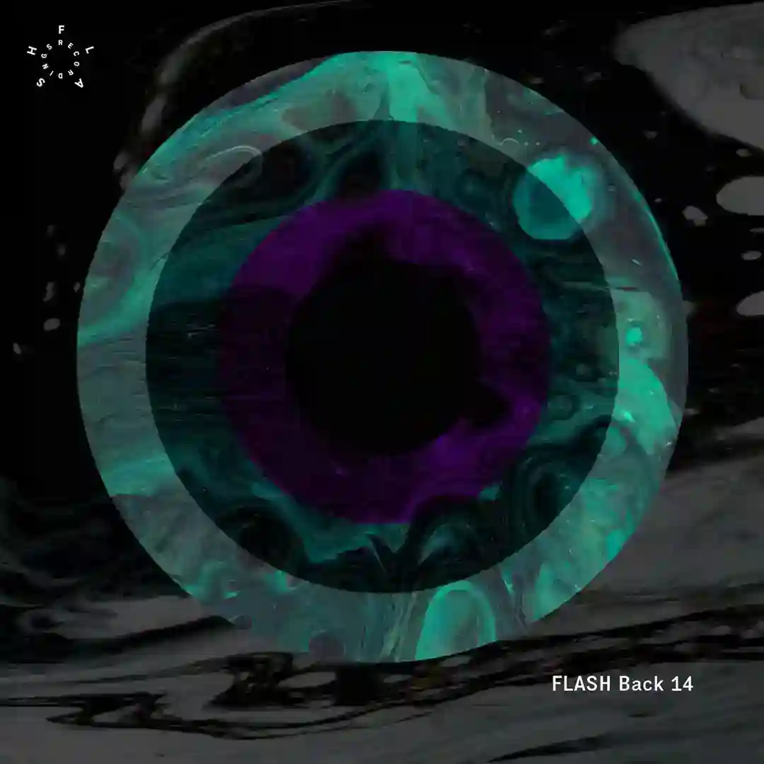 FLASH Back 14 cover