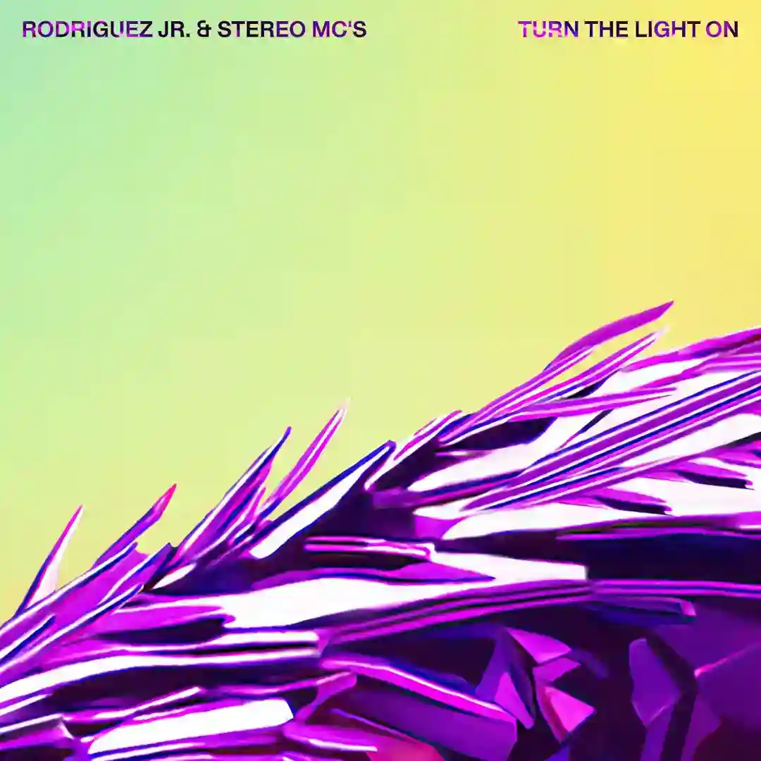 Turn The Light On cover