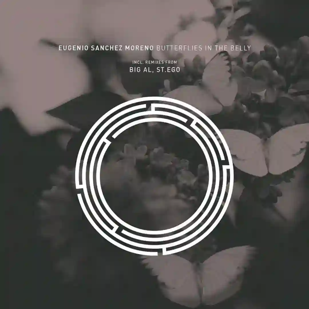 Butterflies In The Belly (BiG AL Remix) cover