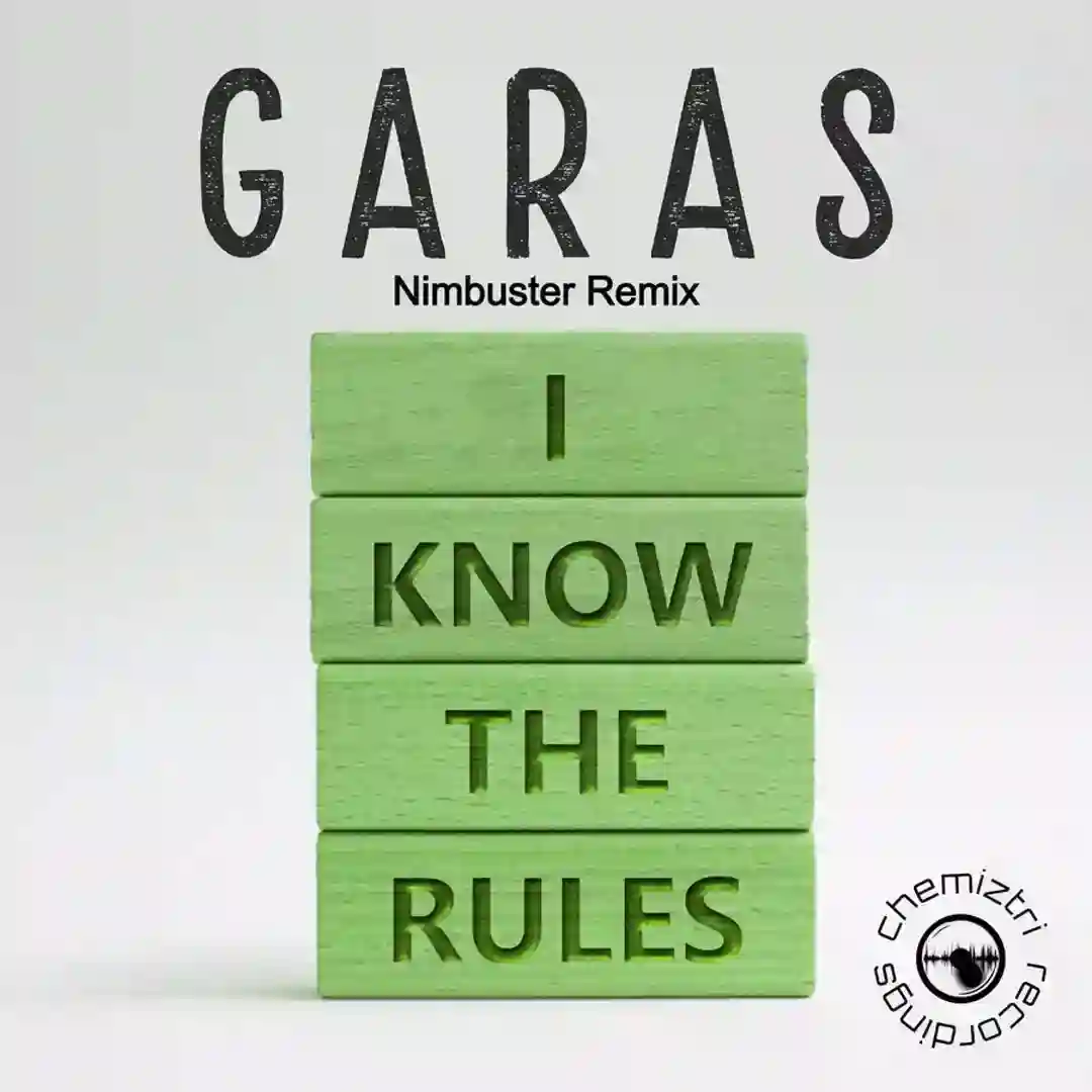 I Know The Rules (Nimbuster Remix) cover