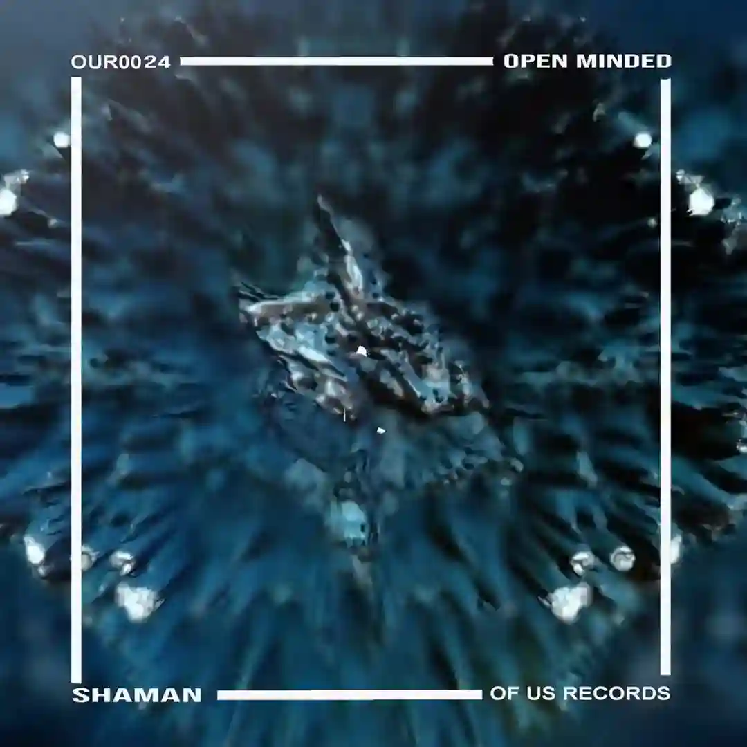 Shaman (Radio Edit) cover