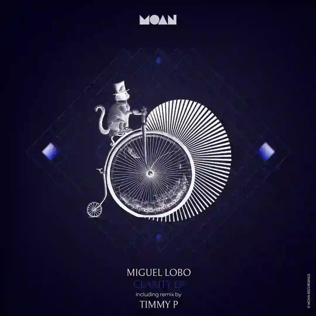 Clarity Feat Shyam P (Timmy P Remix) cover
