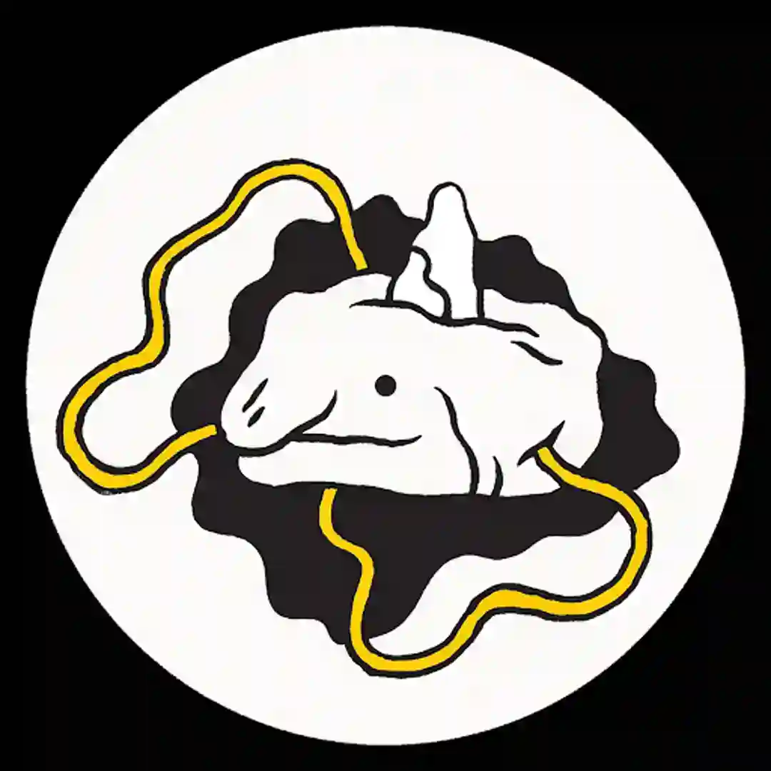 Z-Gnal cover