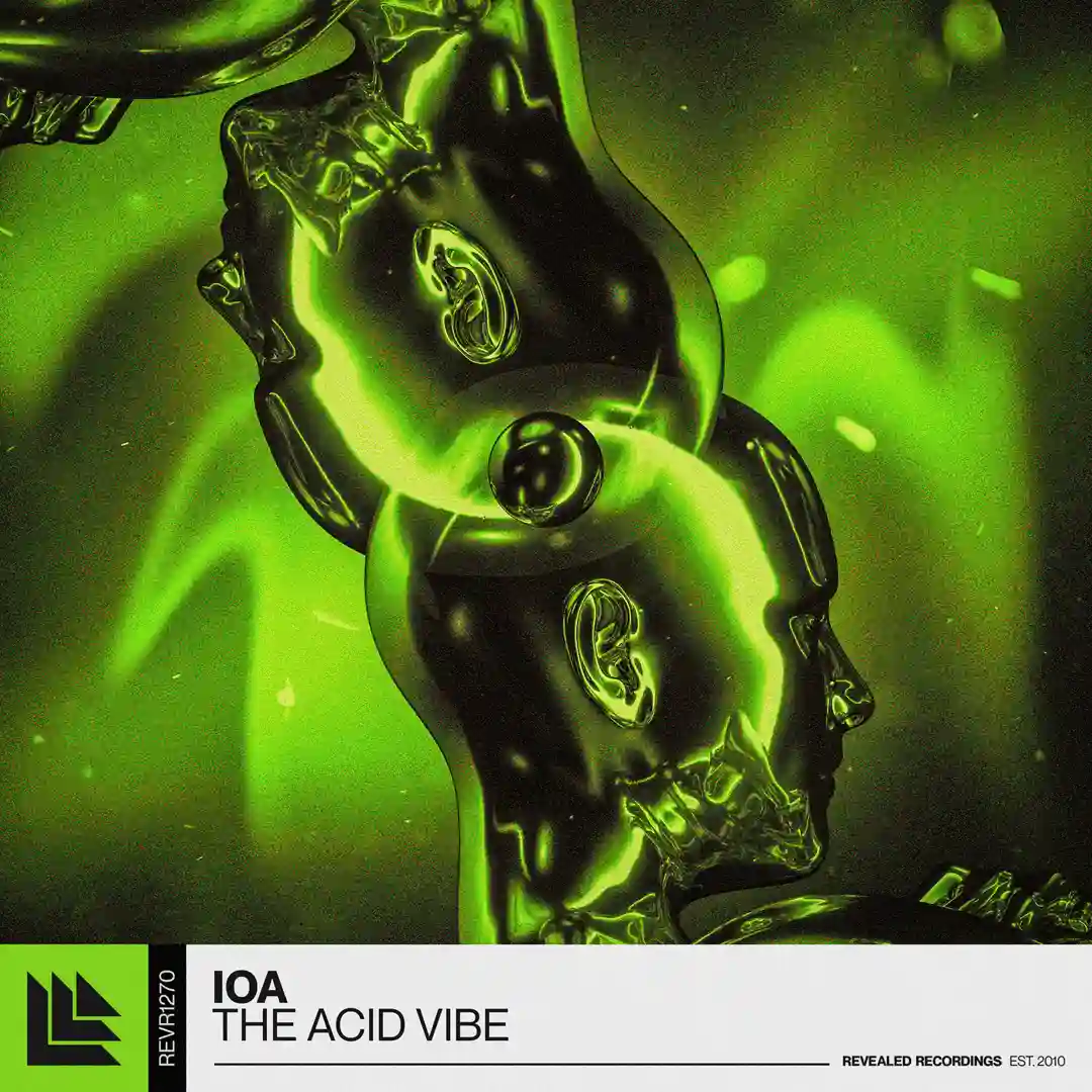 The Acid Vibe cover