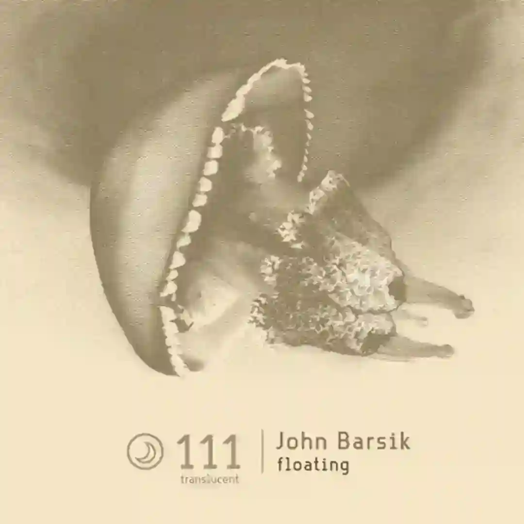 Floating cover