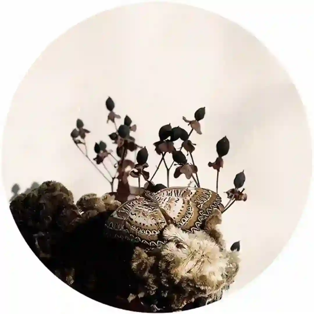 Fallen Leave (Original Mix) cover
