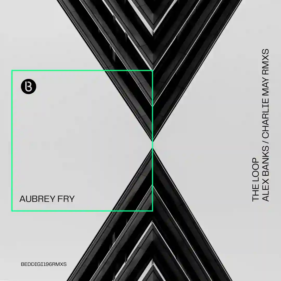 The Loop Remixes cover