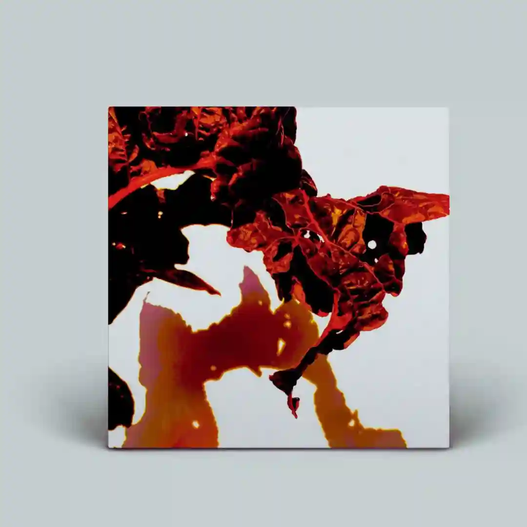 Rotation (Original Mix) cover