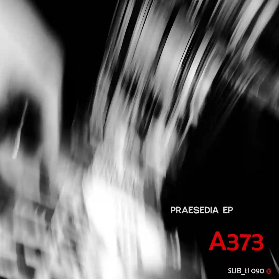 Ruasara (Original Mix) cover