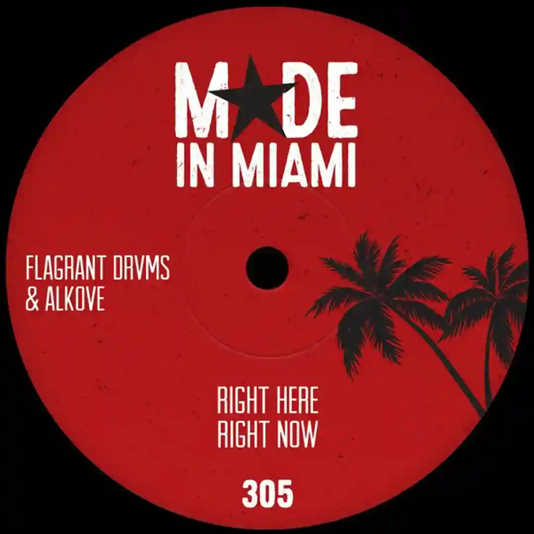 Right Here Right Now (Original Mix) cover