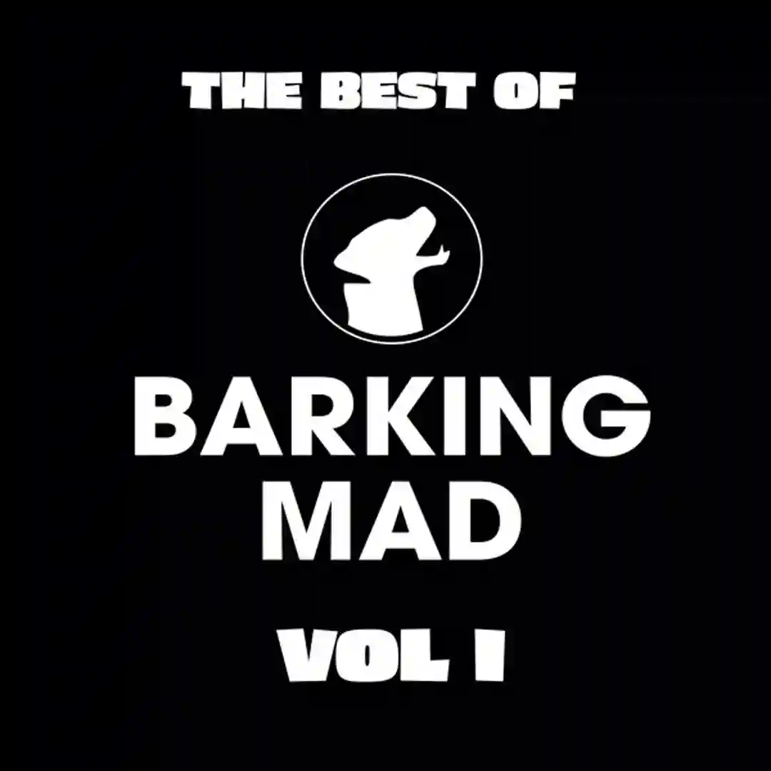 Controller (Original Mix) cover