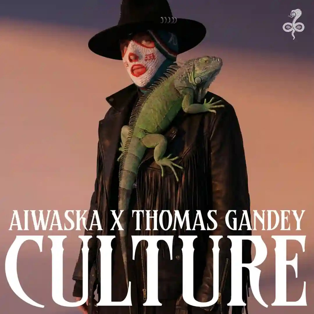 Culture (Malandra Jr. Extended Remix) cover