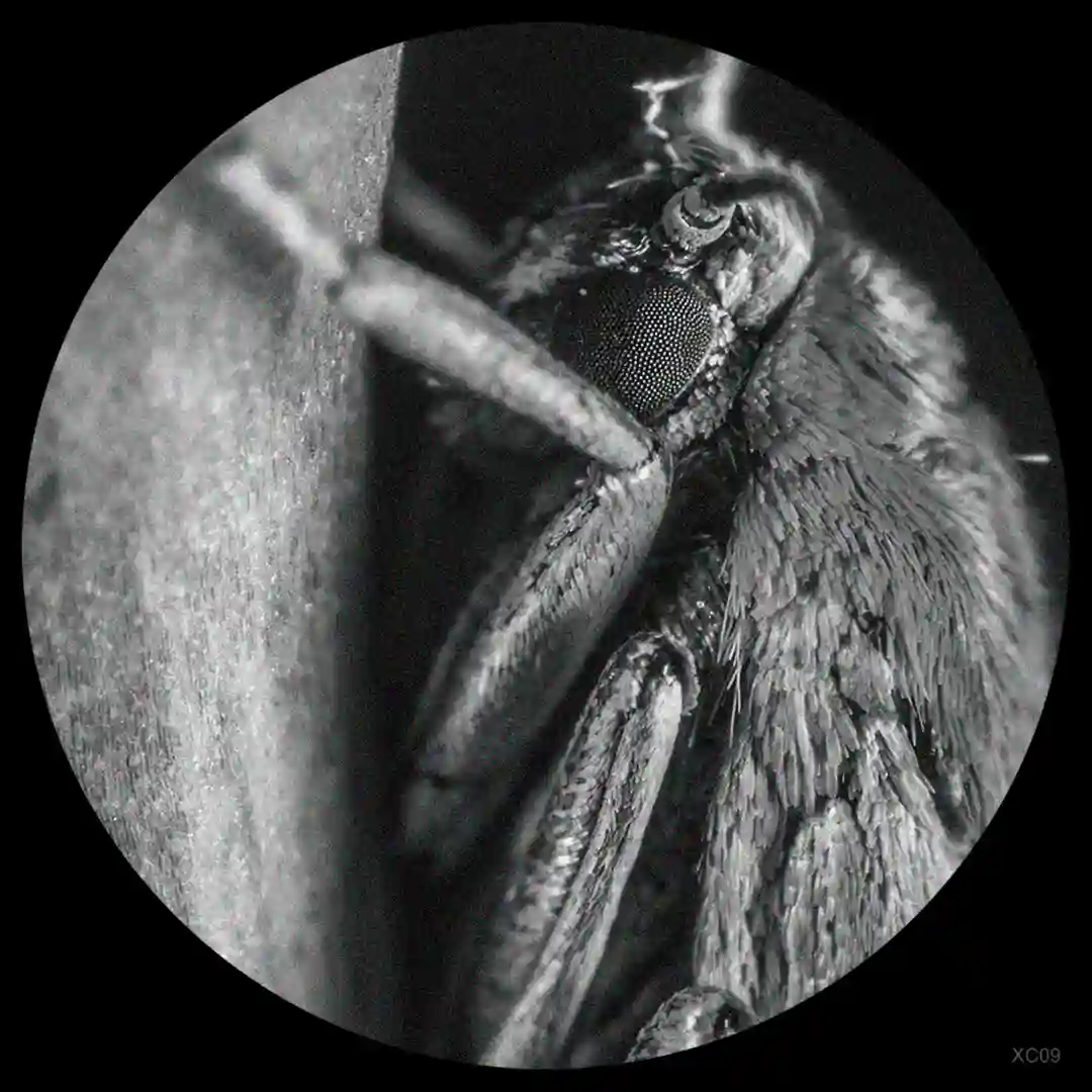 La Fin Du Quatrieme Mur (Original Mix) cover