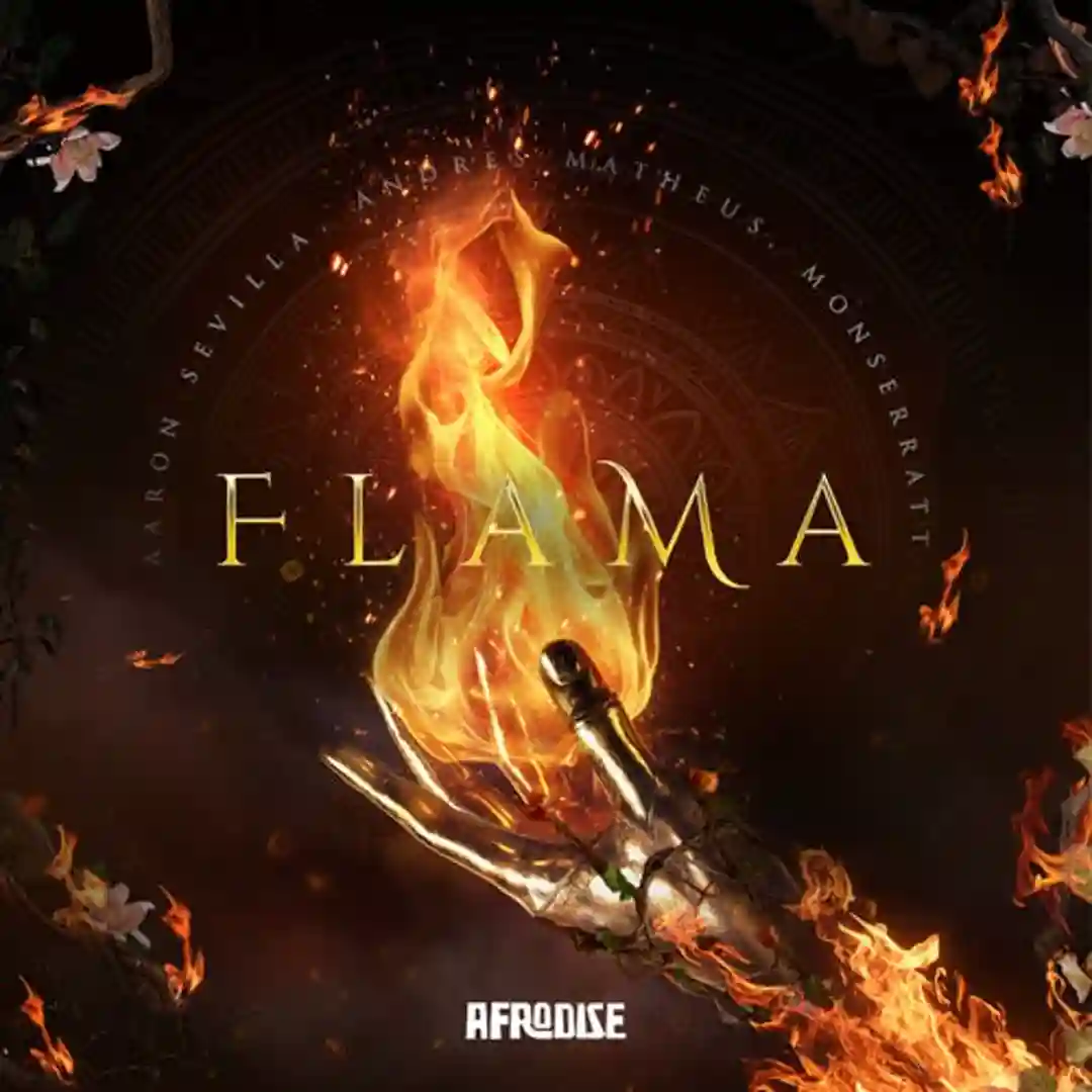 Flama (Original Mix) cover