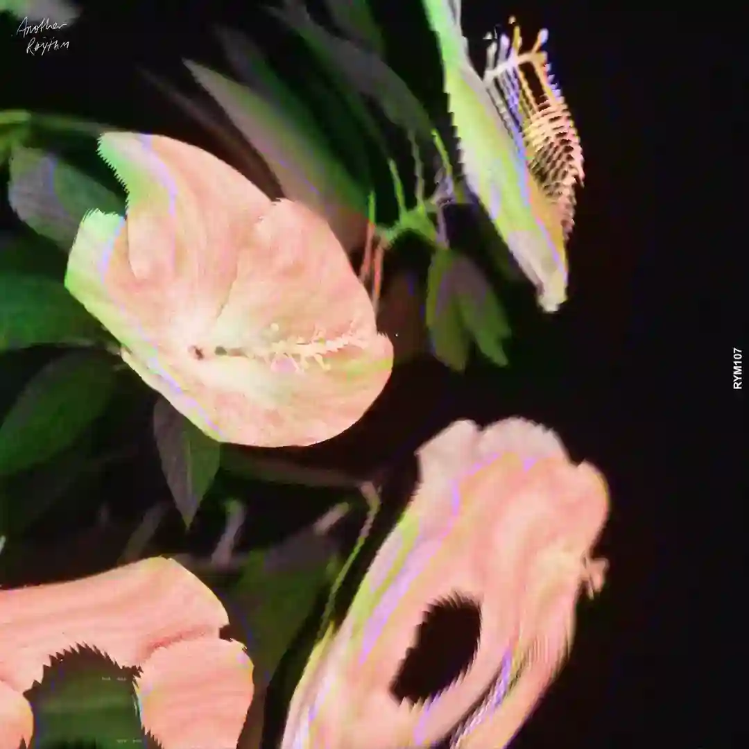 Hibiscus (Extended Mix) cover