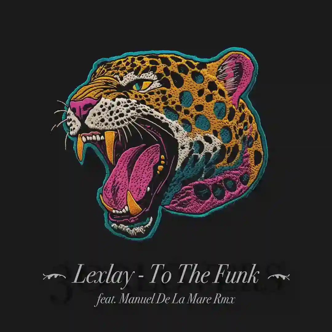 To the Funk (Manuel De La Mare Extended Remix) cover