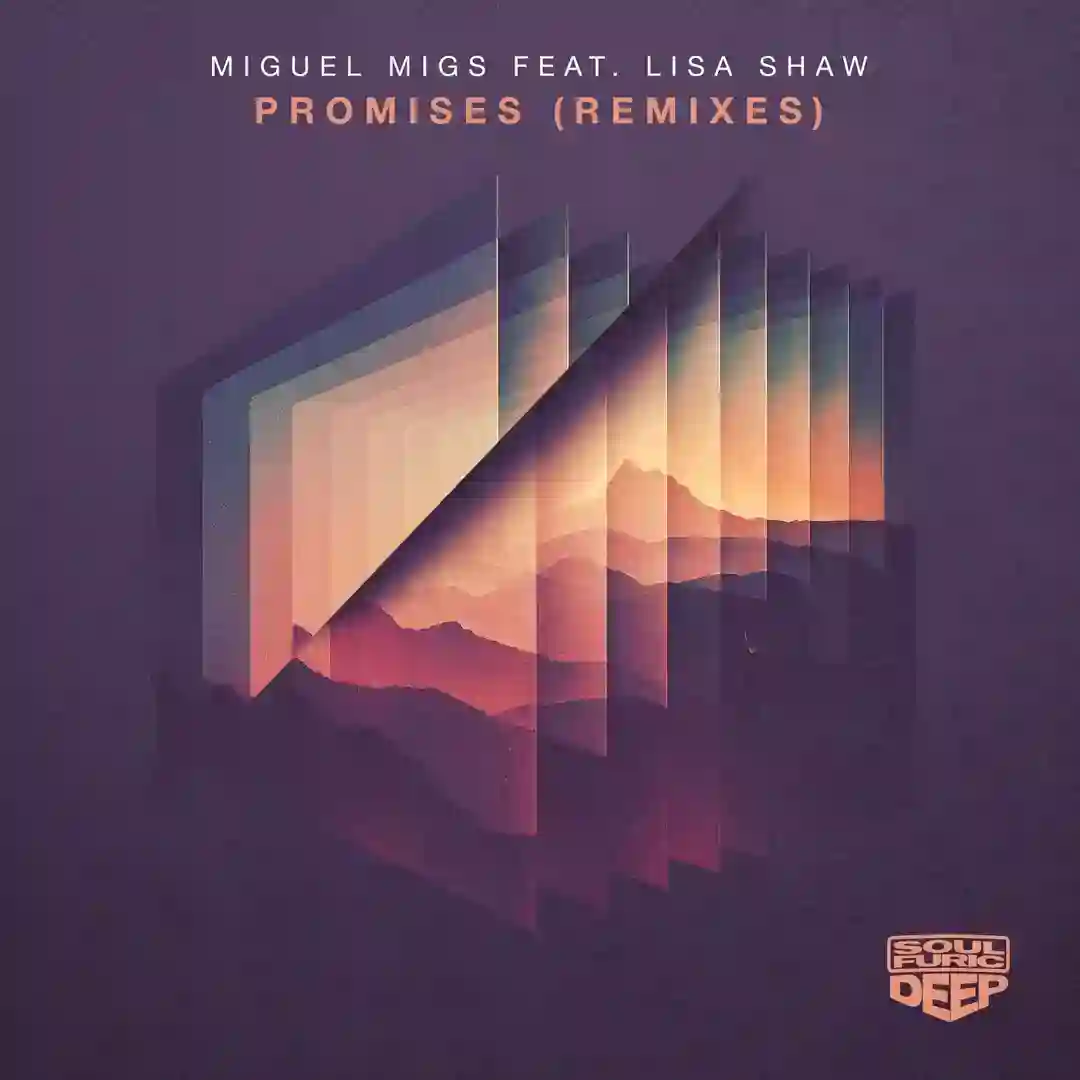 Promises - Remixes cover