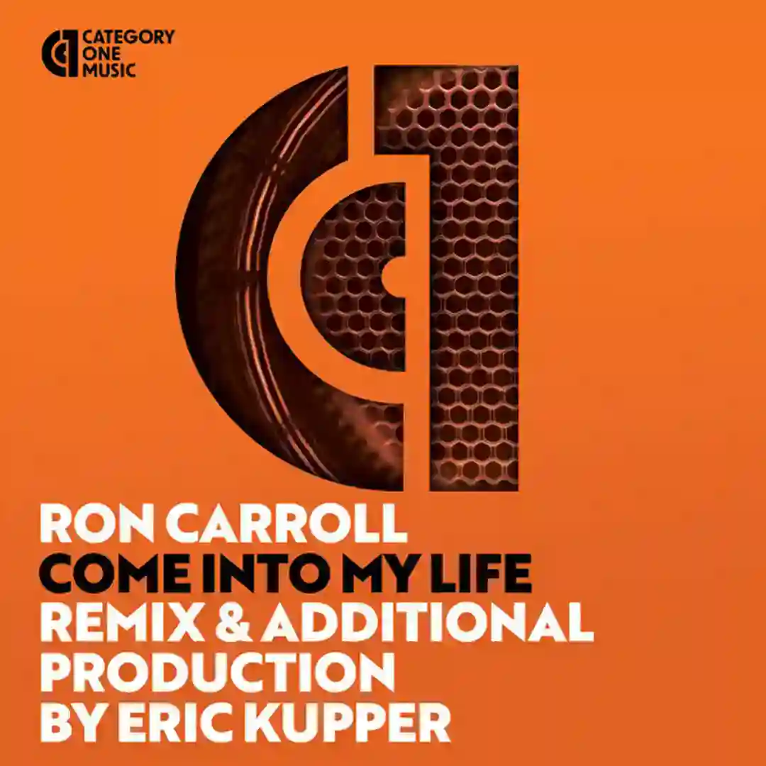Come into My Life (Eric Kupper Dubstrumental Remix) cover