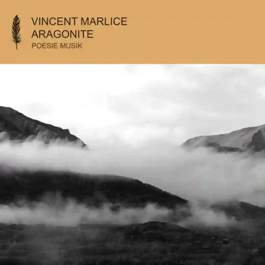 Aragonite cover