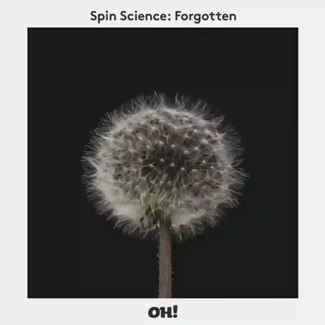 Forgotten (Roberto Rodriguez Remix) cover