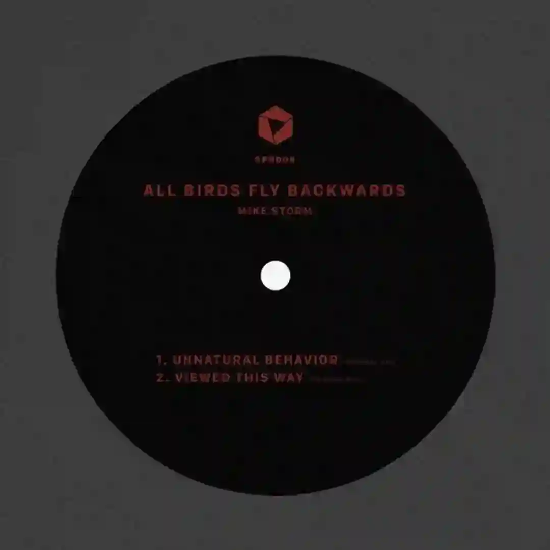 All Birds Fly Backwards cover