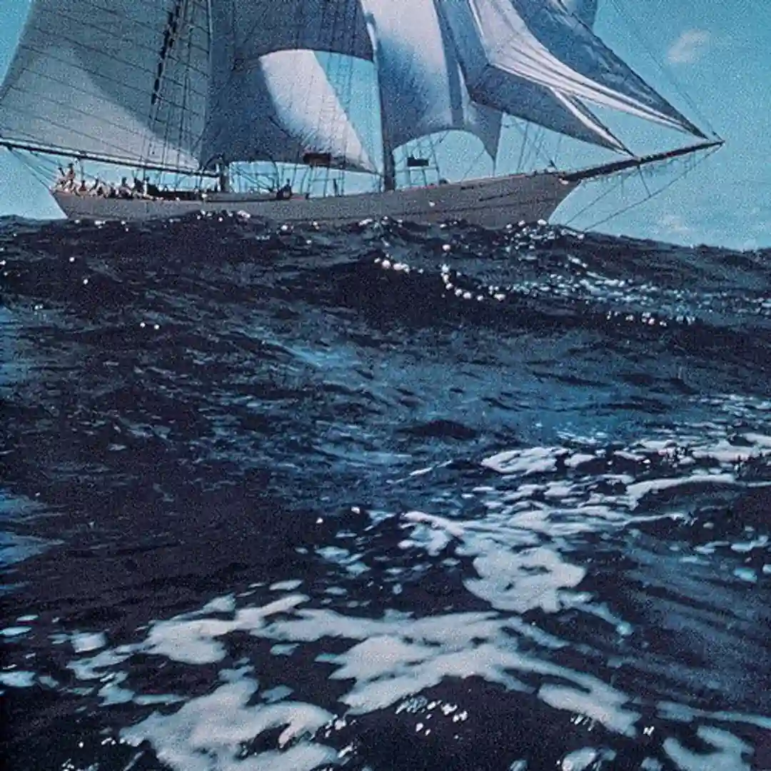 Blue Pedro cover
