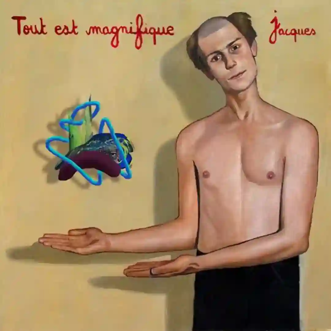 L'incroyable vie des choses cover