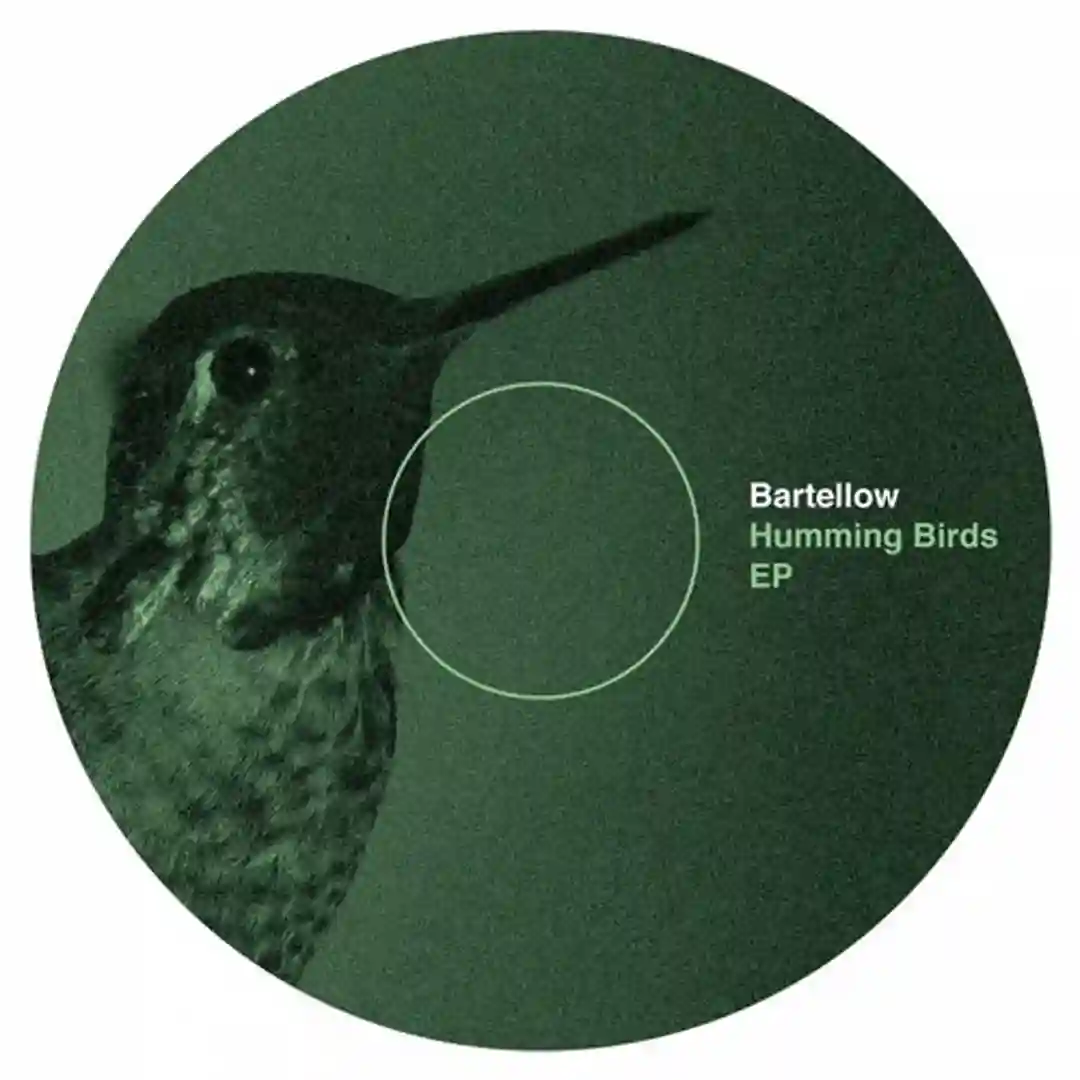 Raw Material (Original Mix) cover