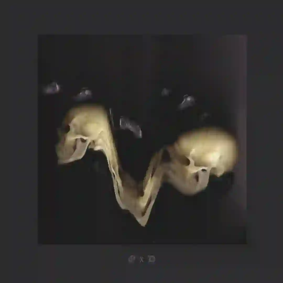Solitude Illuminated cover