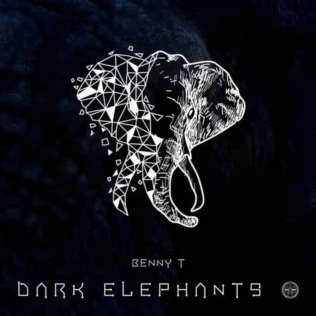 Dark Elephants (Original Mix) cover