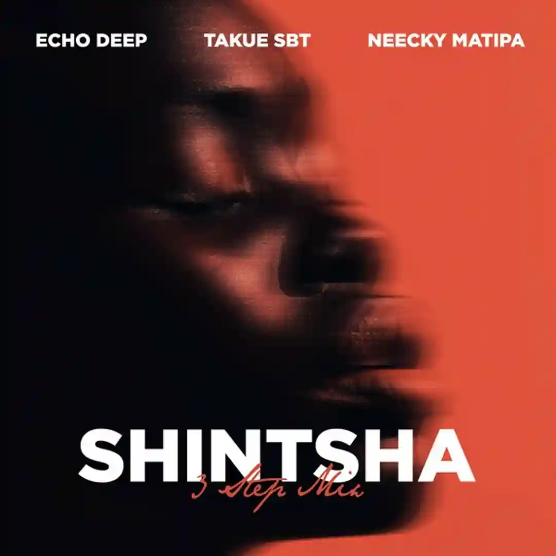 Shintsha (3 Step Mix) cover