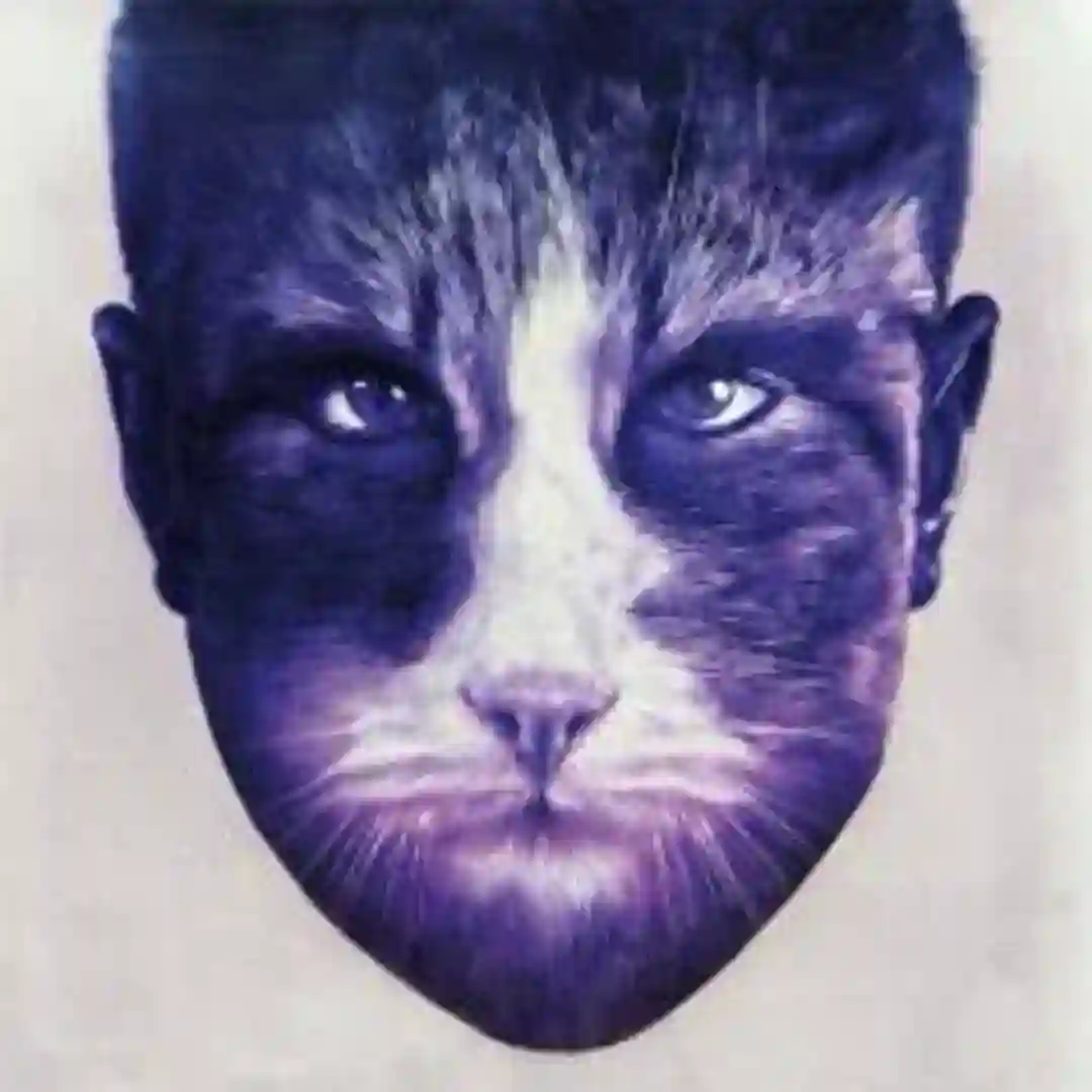 Fukushima cover