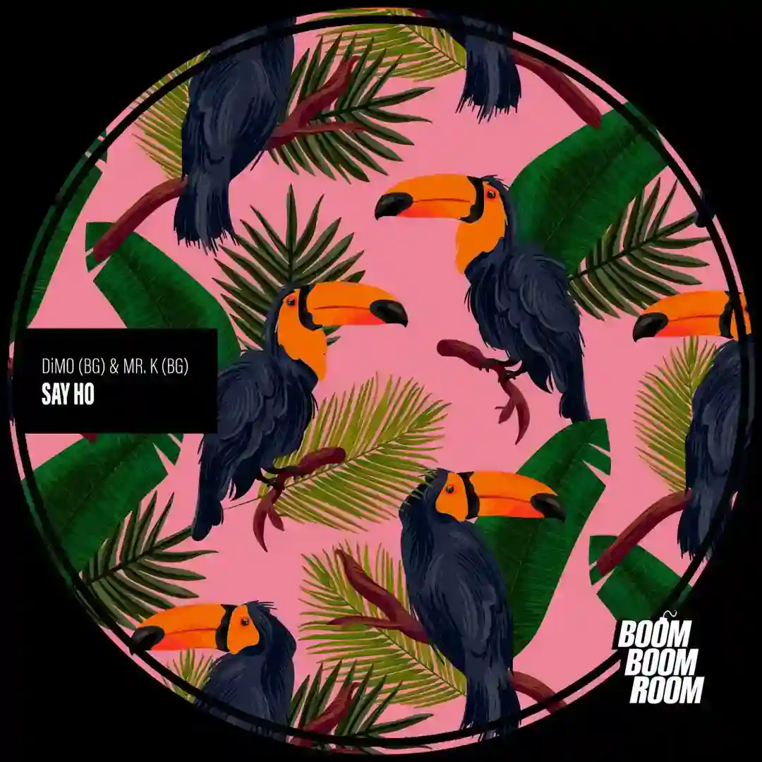 Say Ho cover