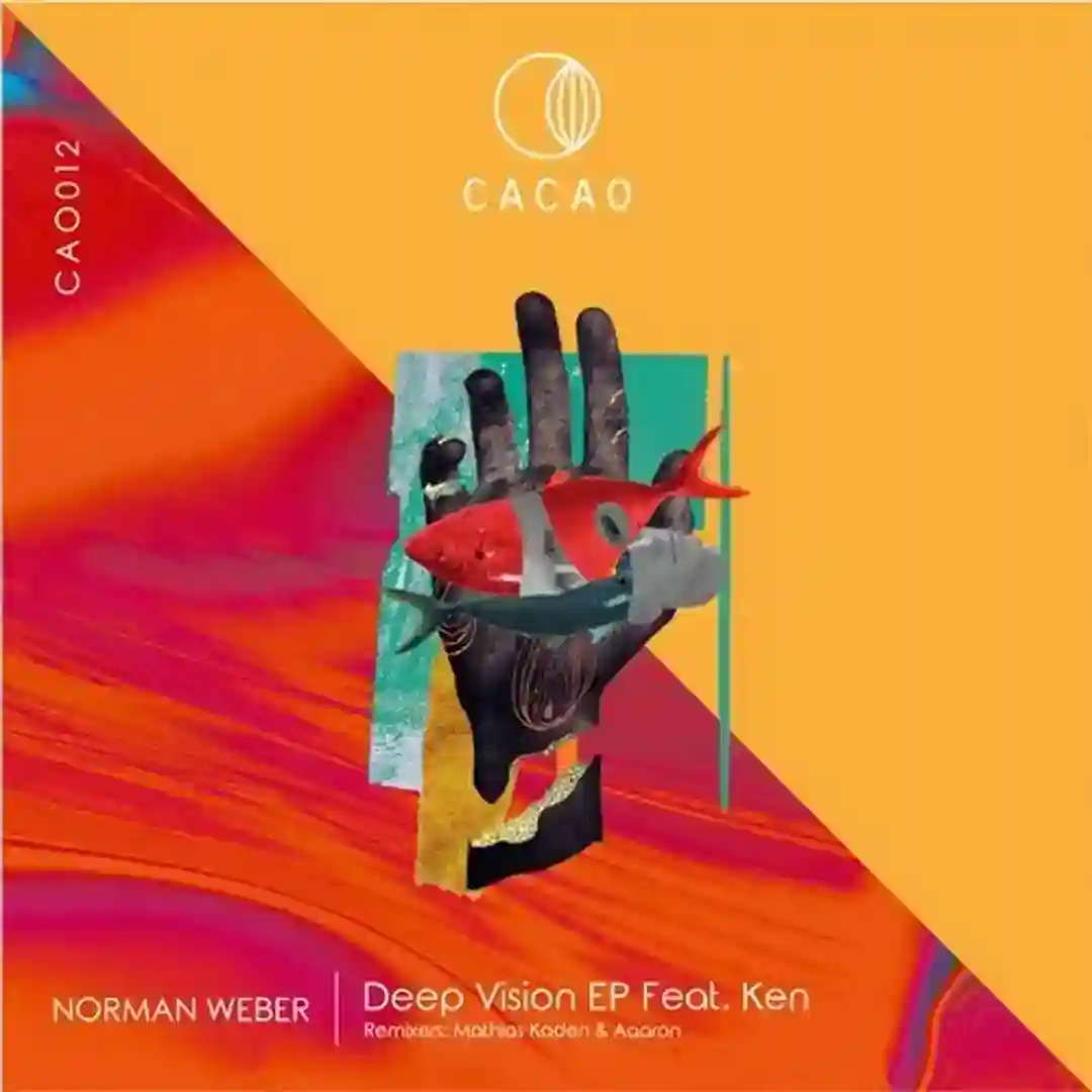 Deep Vision (Mathias Kaden´s Blood Brothers Remix) cover