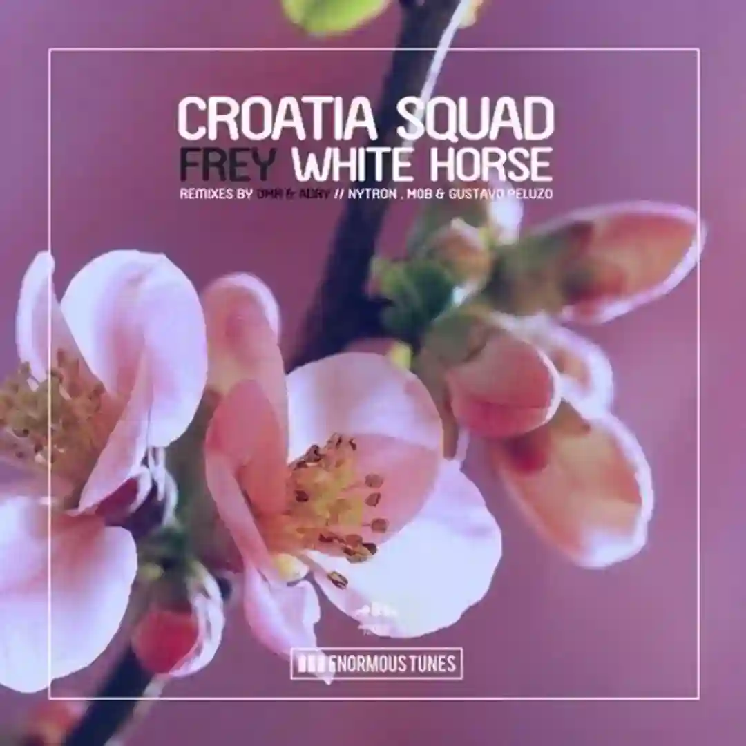 White Horse (OMR & ADRY Remix) cover