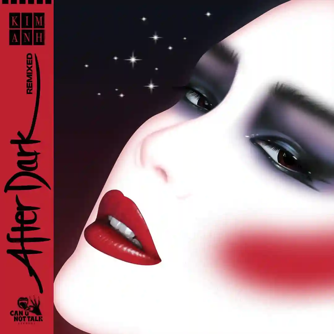 After Dark Remixed cover
