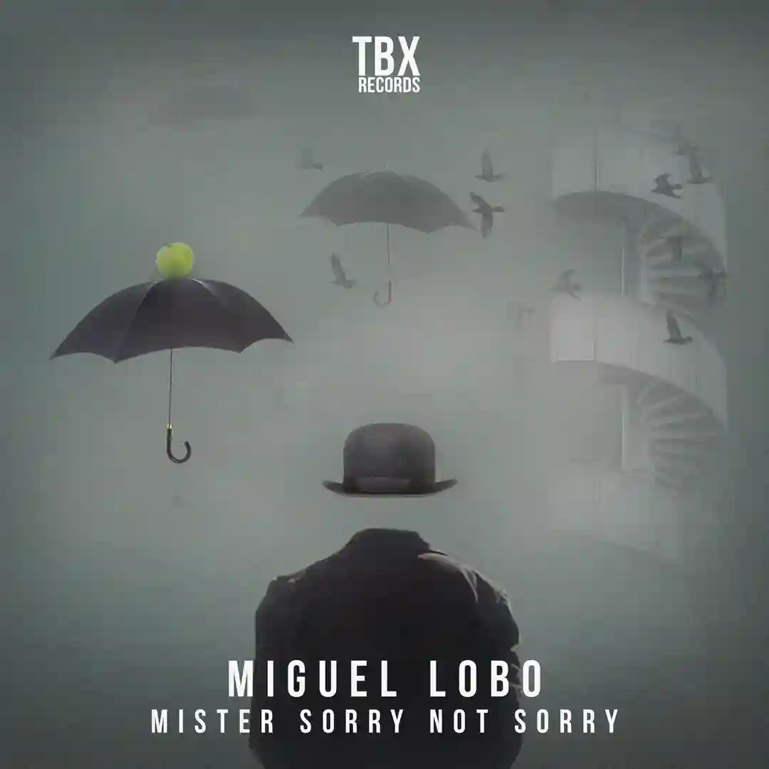 Mister Sorry Not Sorry (Original Mix) cover