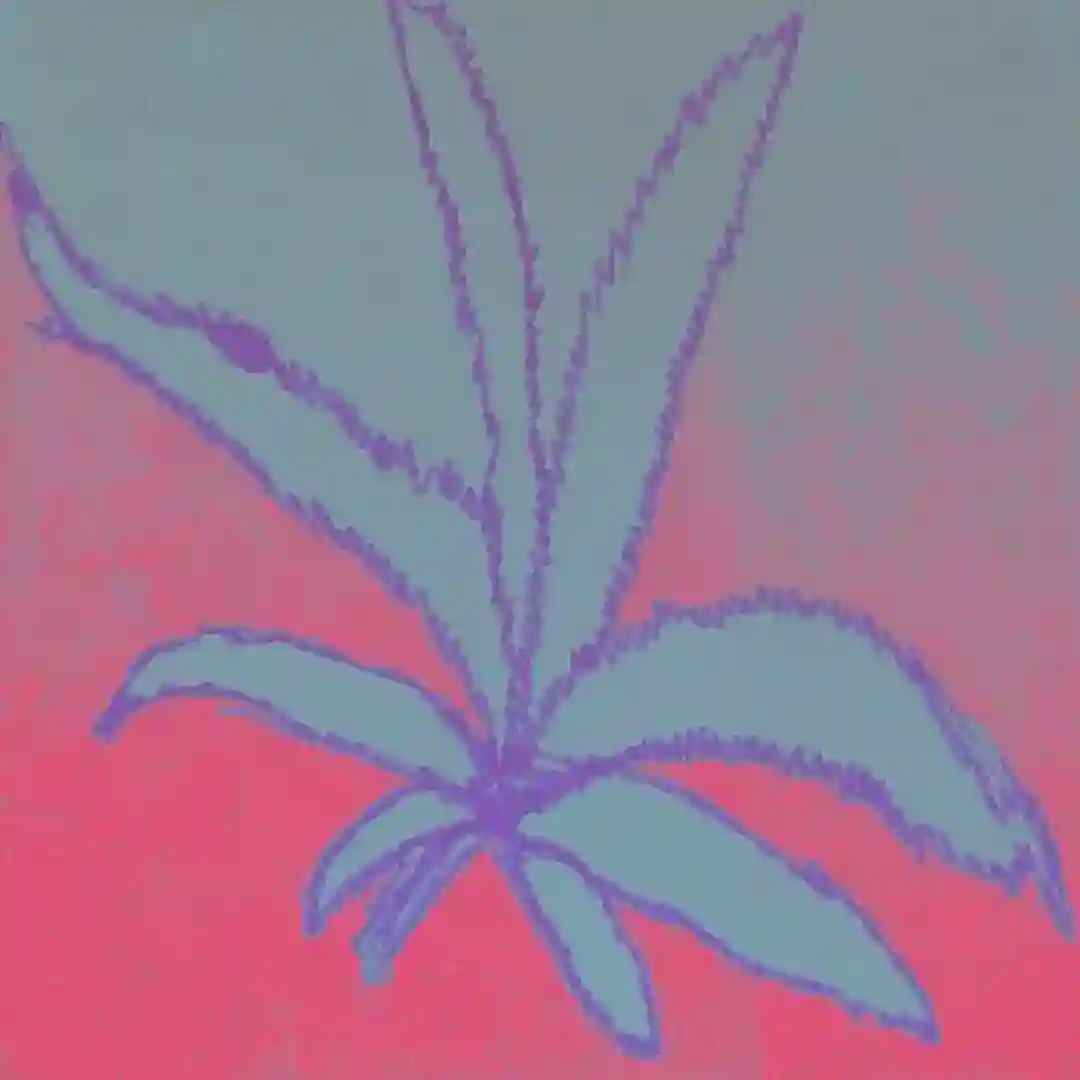 420 Sampler II cover
