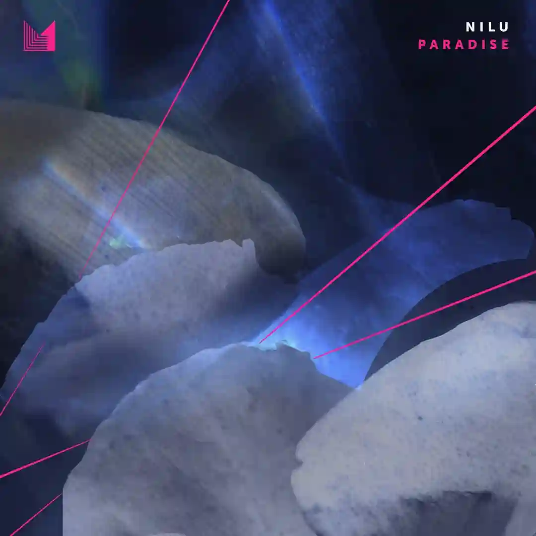 Paradise cover