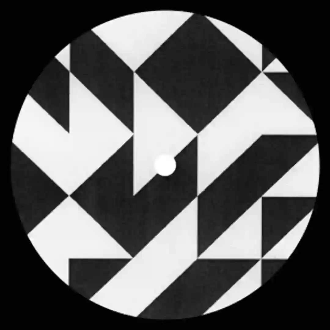 Discrete Markov Dub cover