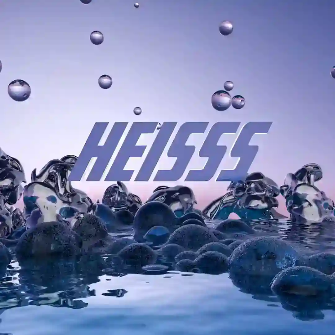 HEISSS VA002 cover