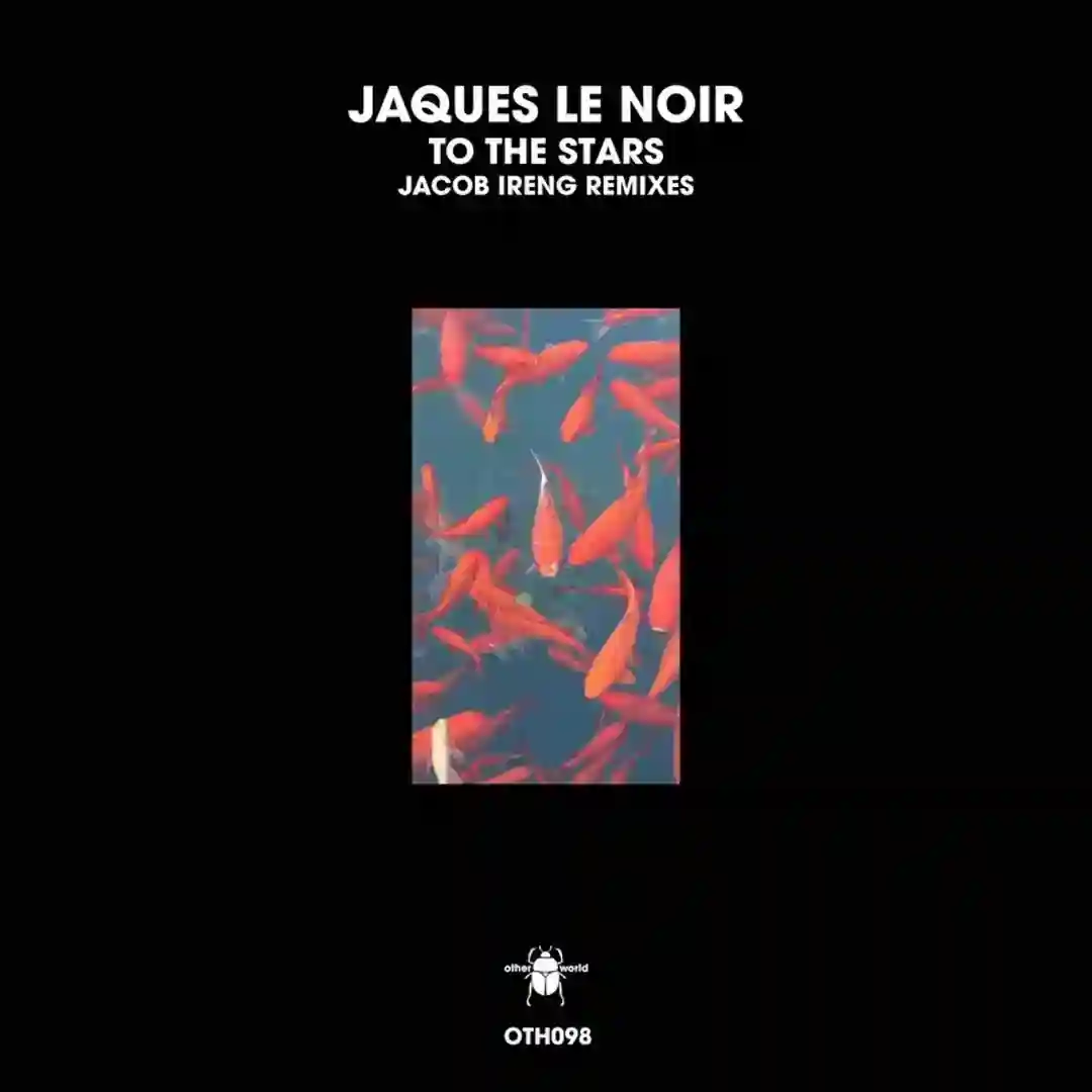 To the Stars (Jacob Ireng Remix) cover