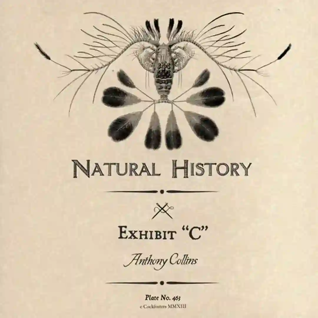 Soul Jackin cover