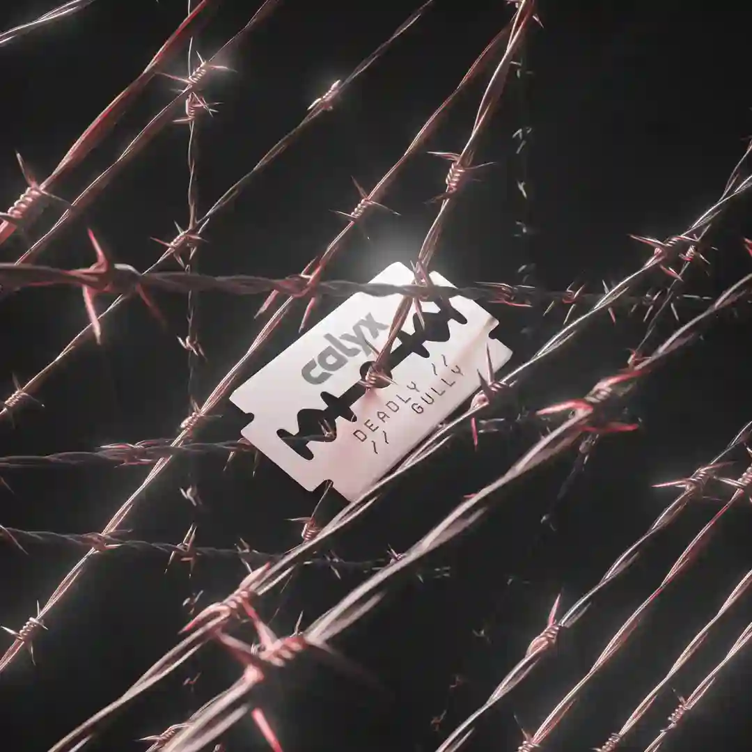 Gully (Original Mix) cover