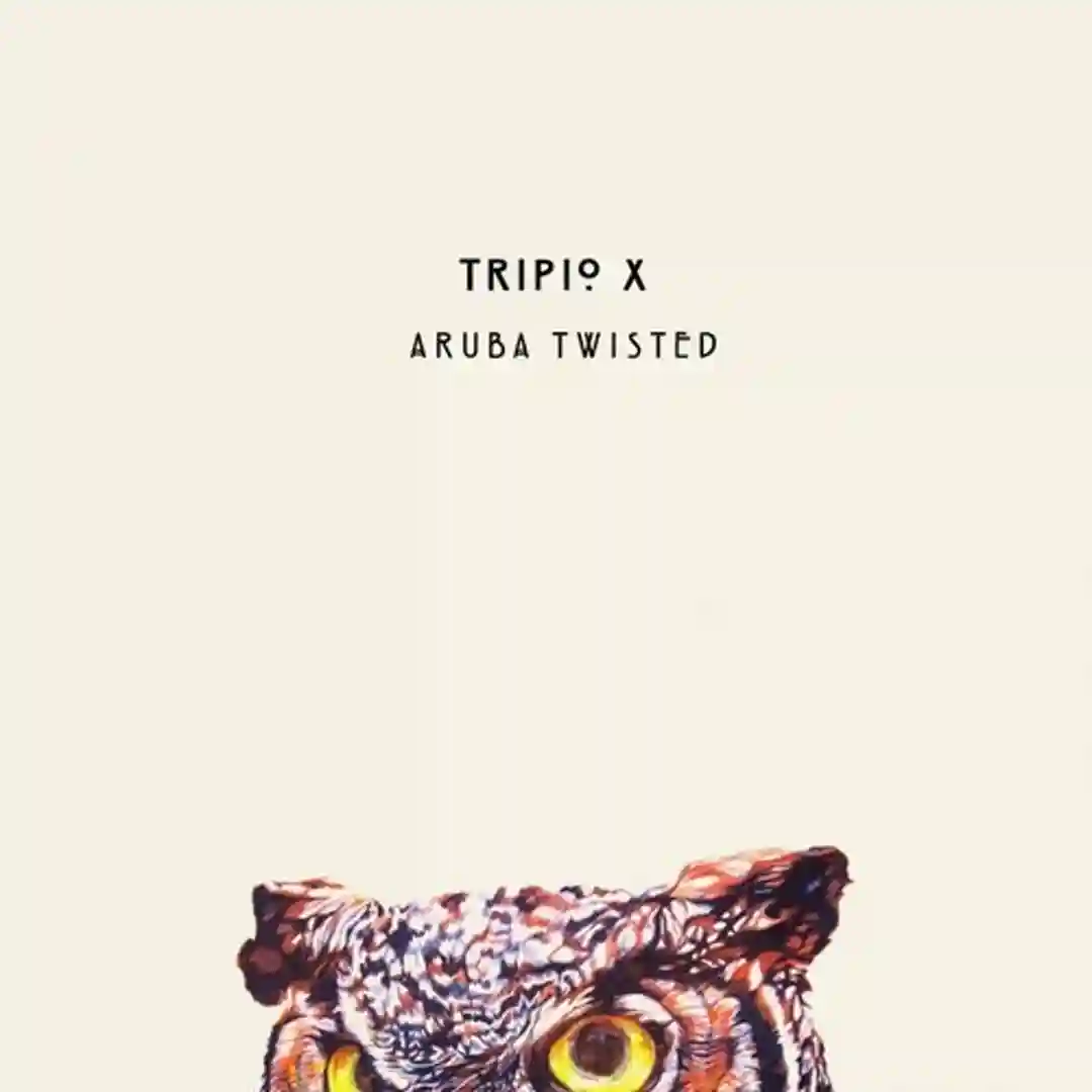 Aruba Twisted (Original Mix) cover