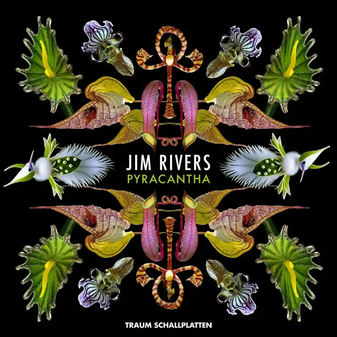 Pyracantha EP cover