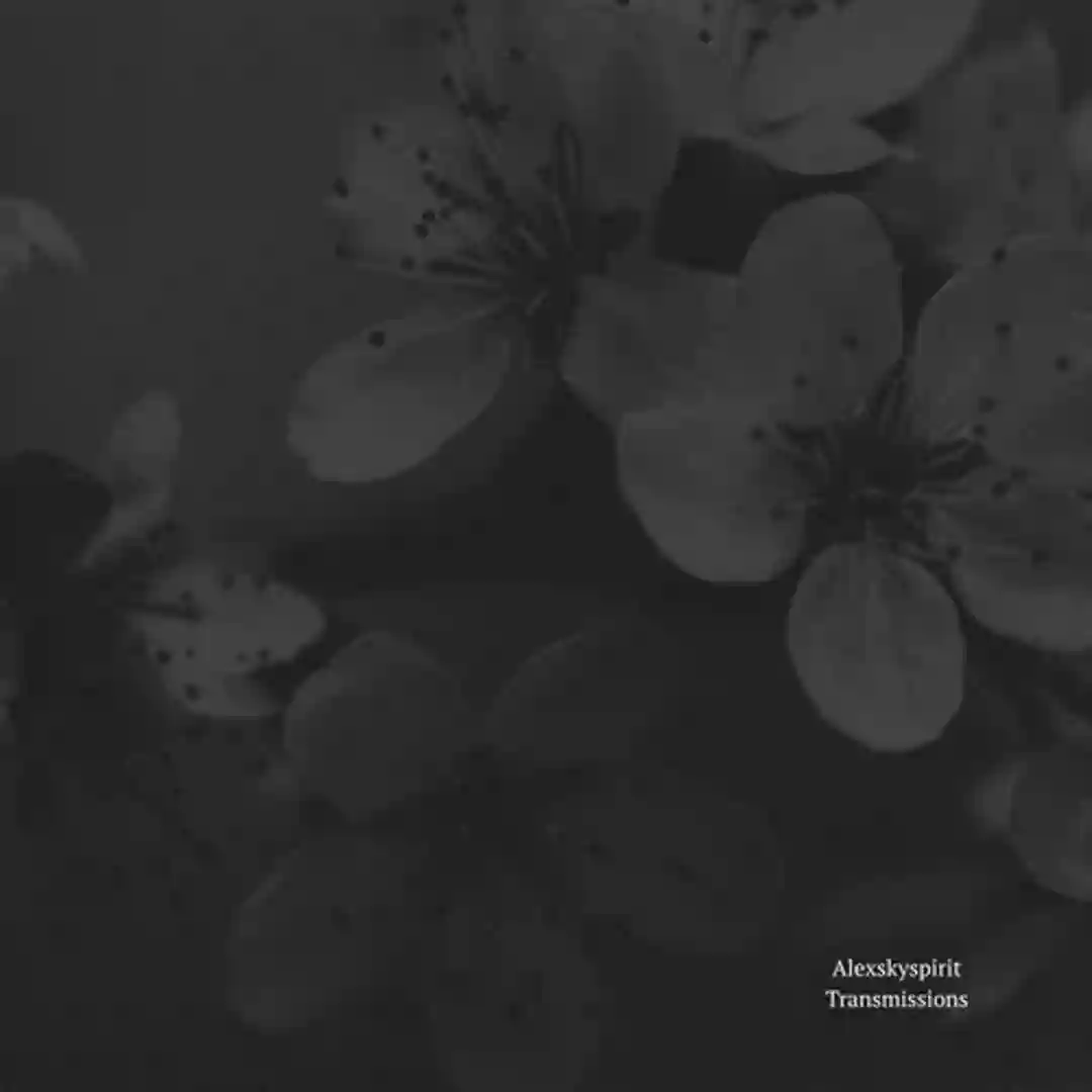Transmission #5 (Original Mix) cover