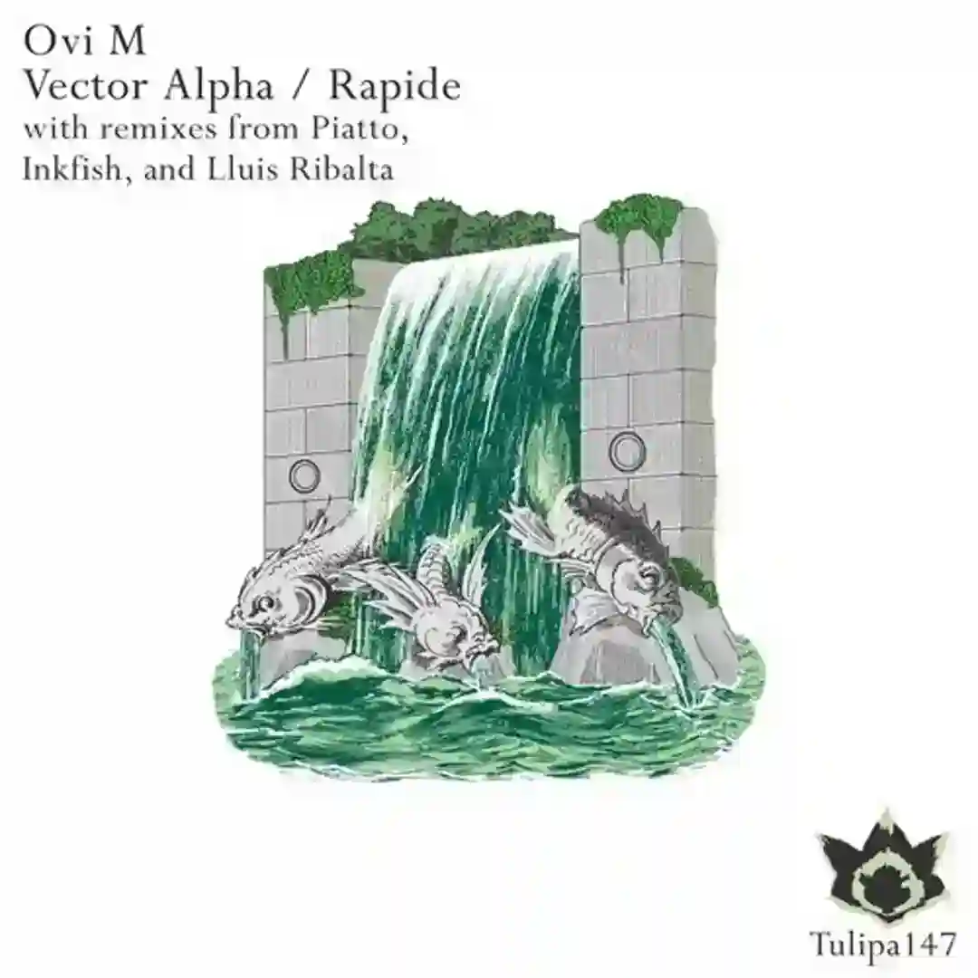 Vector Alpha (Piatto Remix) cover