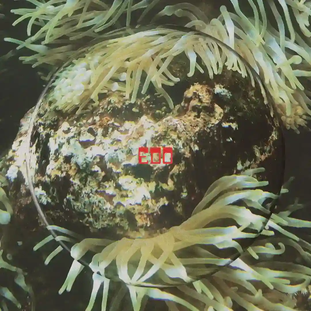 Solarized cover